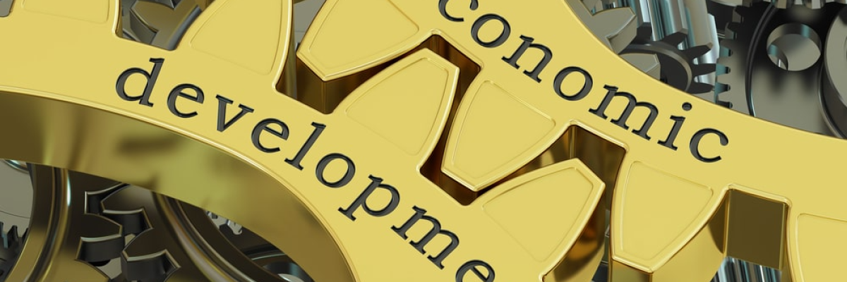 The Summer School in Development Economics