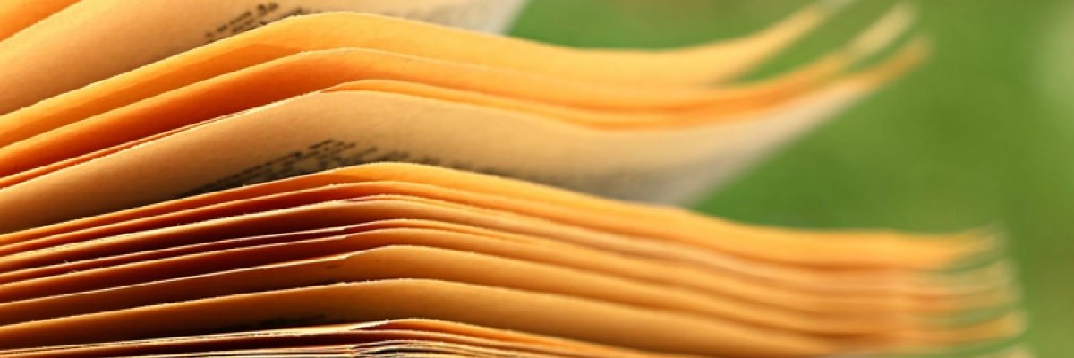 Discussion Papers
